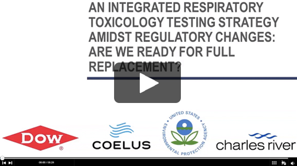 An Integrated Respiratory Toxicology Testing Strategy Amidst Regulatory Changes: Are We Ready for Full Replacement